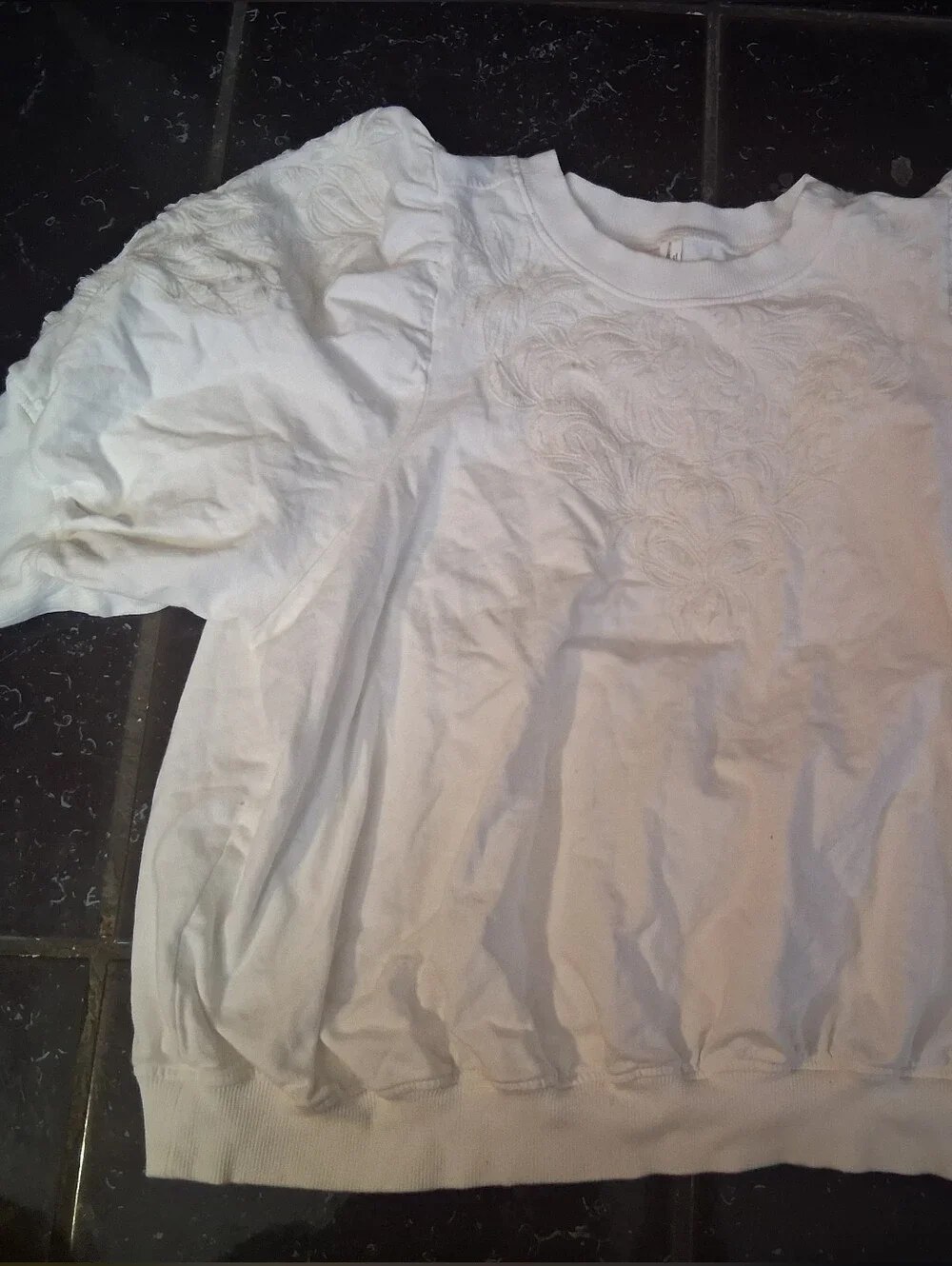 By Anthropologie | Embroidered Puff-Sleeve Sweatshirt, Size 1X - Picture 1 of 1